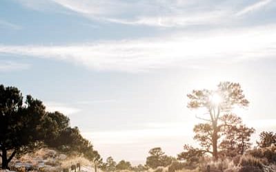 Community Pantry at Lalaan