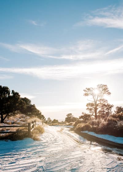 Community Pantry at Lalaan